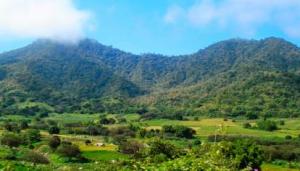 Parque Nacional Cerros de Amotape
